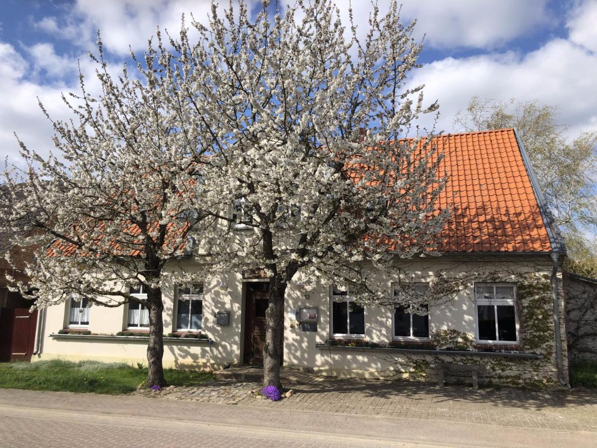 דירות Schonfeld  Landhof Trittelwitz מראה חיצוני תמונה